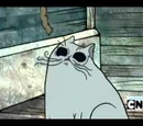 Disturbing Cat