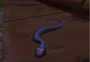 WoWScrnShot phyti.jpg