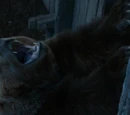 Little Bart
