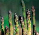 Asparagus