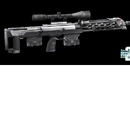DSR-1