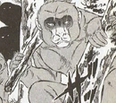Akazaru