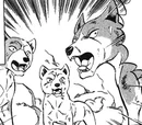 Kyoushiro's Siblings