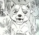 Koushiro