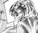 Jaguar