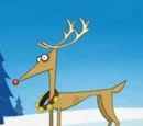 The Reindeer