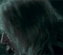 Garrick Ollivander
