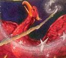 Plume de phénix