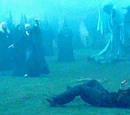 Cruciatus Curse