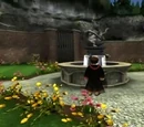 Rubeus Hagrid's garden