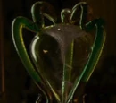 Horace Slughorn's hourglass