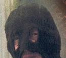 Executioner
