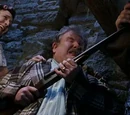 Gun