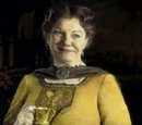 Tosca Tassofrasso