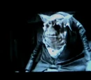 Vogons
