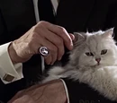 Ernst Stavro Blofeld (Film)