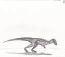Goyocephale