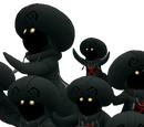 Bolets XIII