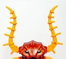 Lobster Guardian