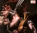 Wolverine Vol 3 Nº52