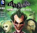 Batman: Arkham Unhinged Vol 1 3