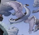 Bluebeards Boat Fables.jpg