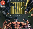Batman: Dark Knight Gallery Vol 1 1