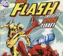 Flash Vol 2 224