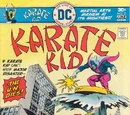Karate Kid Vol 1 2