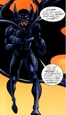 Batman Just Imagine 010.jpg