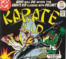 Karate Kid Vol 1 8