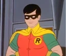 Robin NAOB 001.jpg