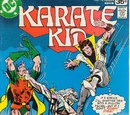 Karate Kid Vol 1 14