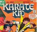 Karate Kid Vol 1 12