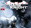 Batman: The Dark Knight Vol 1 2