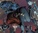 Secret Avengers Vol 1 29