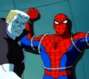Spider-Man: The Animated Series Season 2 12