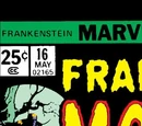 Frankenstein Vol 1 16