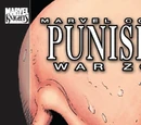 Punisher: War Zone Vol 2 4