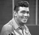 Andy Taylor