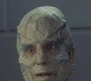 D'Marr
