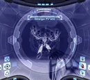 X-Ray Visor