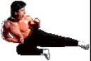 Liu2.gif
