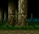 Living Forest