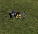 Caravans