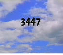 Episode 3447
