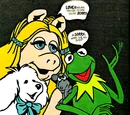 Muppet Paint By Number kits (Craft Master)