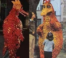 Abelardo (crocodile)