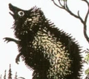 Hedgehog