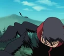 Crows